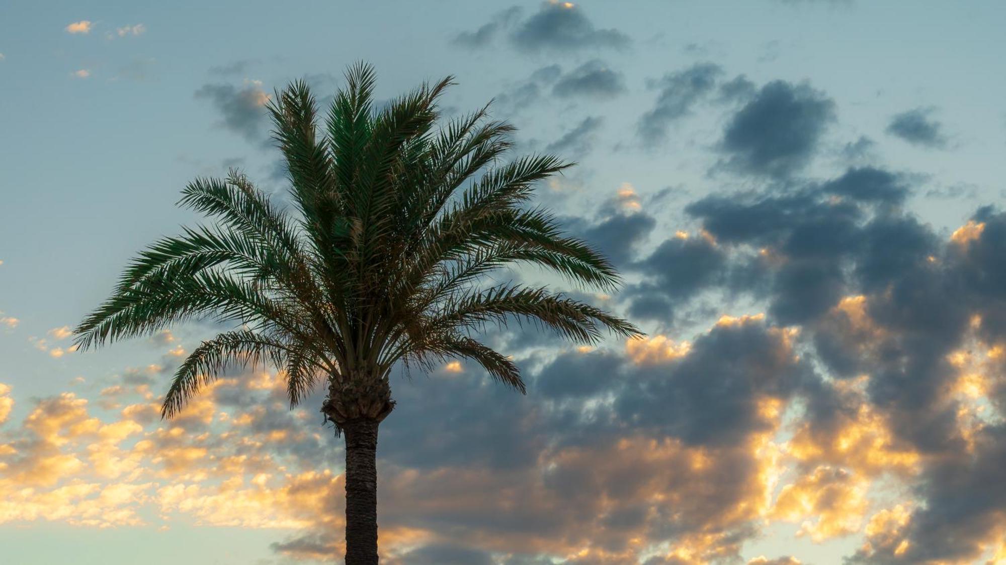 Beach Side Apartments Calahonda Sitio de Calahonda エクステリア 写真